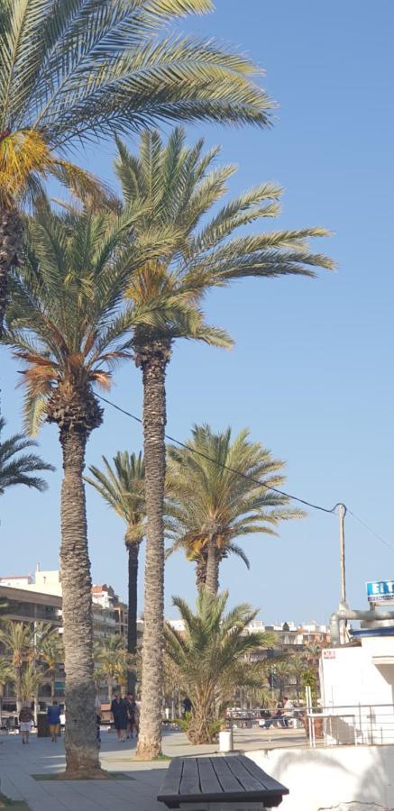 Costa Blanka Resident Apartman Τορεβιέχα Εξωτερικό φωτογραφία